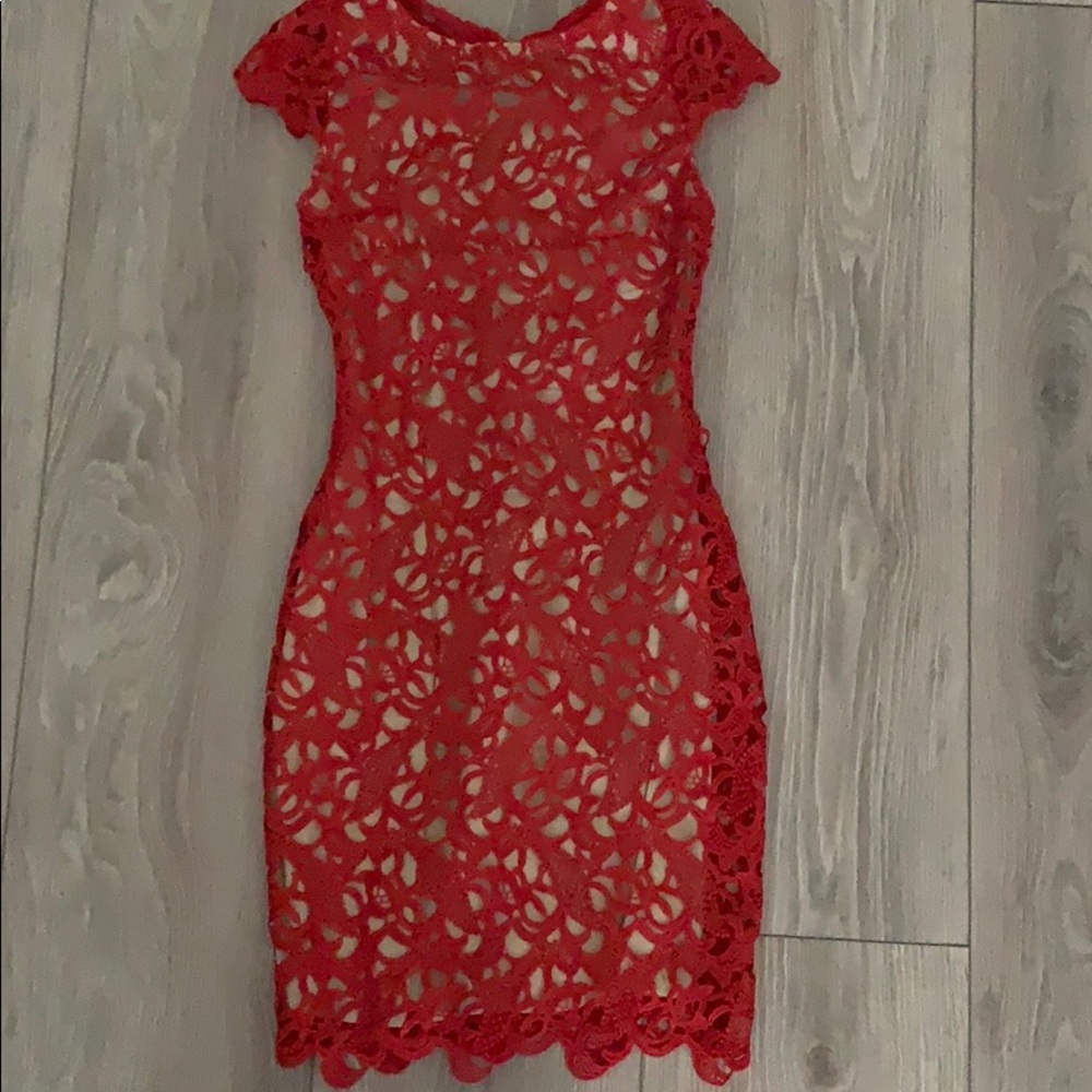 Alice and Olivia  0
